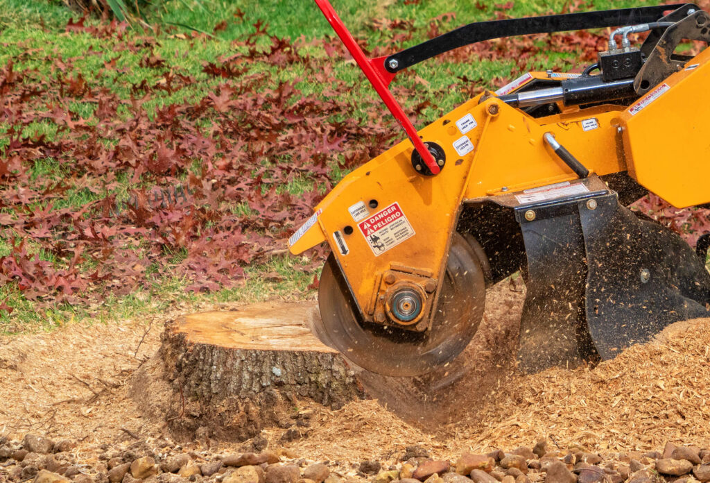 Stump grinding equipment removing a tree stump in a Fort Worth backyard